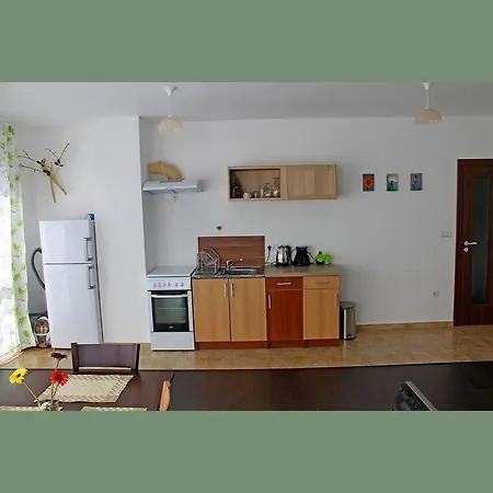 Flora Centrum Apartmán *